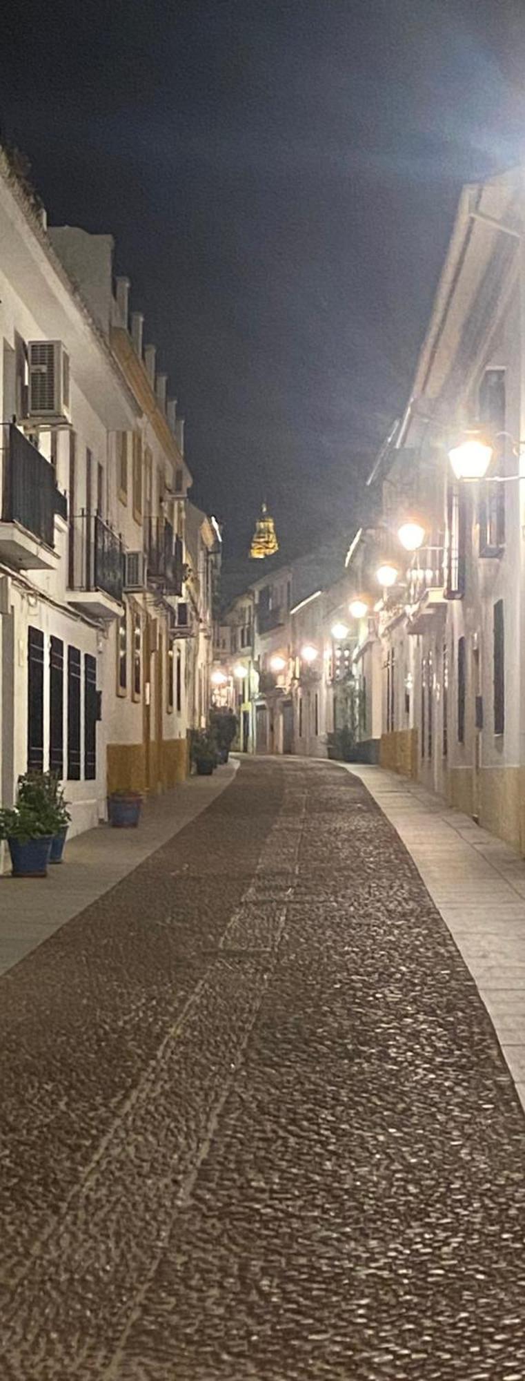 Ferienwohnung Enmitatiko Alcazar Viejo Córdoba Exterior foto