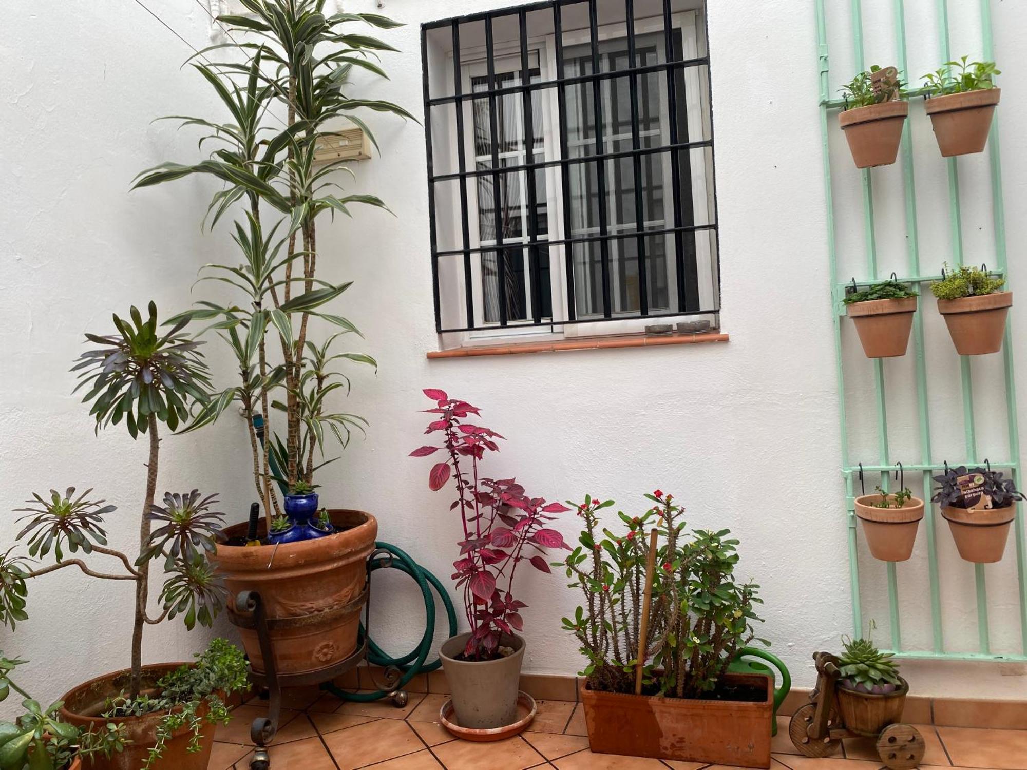 Ferienwohnung Enmitatiko Alcazar Viejo Córdoba Exterior foto